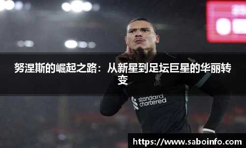 BB贝博艾弗森体育