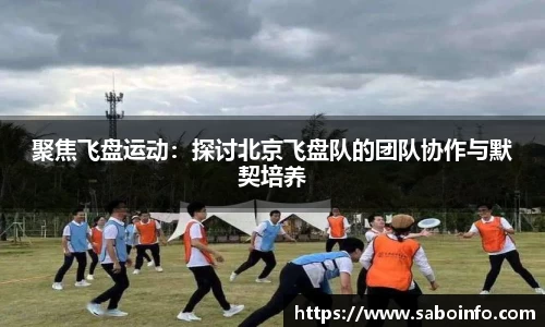 BB贝博艾弗森体育